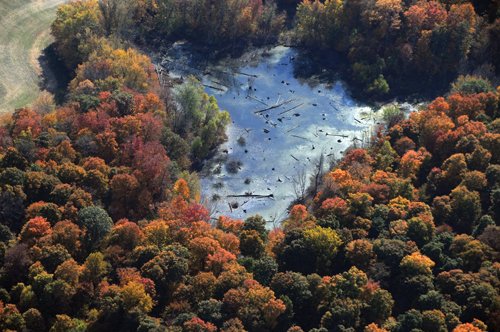 Property photo 30 - 140+/- Acres Offered in 4 Tracts