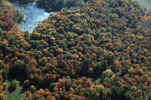 Property photo 38 - 140+/- Acres Offered in 4 Tracts