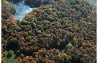 Property photo 38 - 140+/- Acres Offered in 4 Tracts