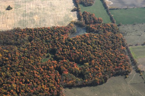 Property photo 22 - 140+/- Acres Offered in 4 Tracts