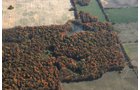 Property photo 22 - 140+/- Acres Offered in 4 Tracts
