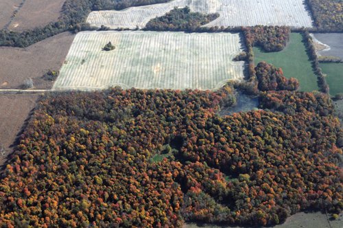 Property photo 12 - 140+/- Acres Offered in 4 Tracts