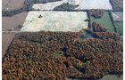 Property photo 12 - 140+/- Acres Offered in 4 Tracts
