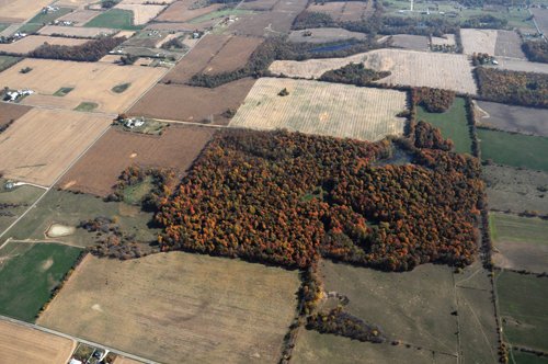 Property photo 20 - 140+/- Acres Offered in 4 Tracts