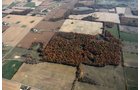 Property photo 20 - 140+/- Acres Offered in 4 Tracts