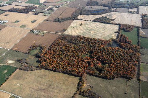 Property photo 17 - 140+/- Acres Offered in 4 Tracts