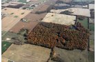 Property photo 17 - 140+/- Acres Offered in 4 Tracts