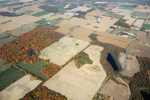 Property photo 24 - 140+/- Acres Offered in 4 Tracts