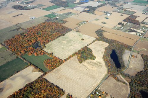 Property photo 10 - 140+/- Acres Offered in 4 Tracts