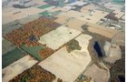 Property photo 10 - 140+/- Acres Offered in 4 Tracts