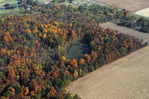 Property photo 15 - 140+/- Acres Offered in 4 Tracts