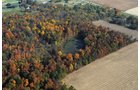 Property photo 15 - 140+/- Acres Offered in 4 Tracts