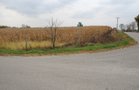 Property photo 13 - 140+/- Acres Offered in 4 Tracts