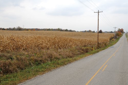 Property photo 21 - 140+/- Acres Offered in 4 Tracts