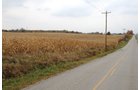 Property photo 21 - 140+/- Acres Offered in 4 Tracts