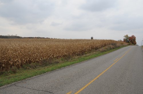 Property photo 2 - 140+/- Acres Offered in 4 Tracts