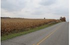 Property photo 2 - 140+/- Acres Offered in 4 Tracts