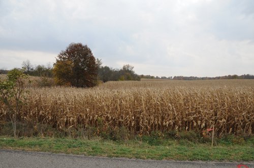 Property photo 32 - 140+/- Acres Offered in 4 Tracts
