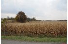 Property photo 32 - 140+/- Acres Offered in 4 Tracts