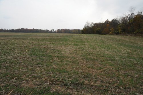 Property photo 18 - 140+/- Acres Offered in 4 Tracts
