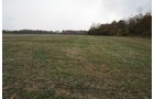 Property photo 18 - 140+/- Acres Offered in 4 Tracts