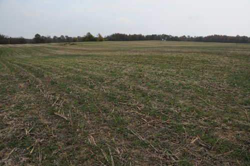 Property photo 33 - 140+/- Acres Offered in 4 Tracts