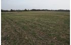 Property photo 33 - 140+/- Acres Offered in 4 Tracts
