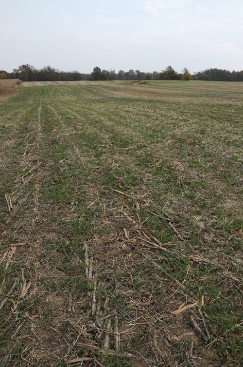 Property photo 37 - 140+/- Acres Offered in 4 Tracts