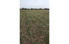 Property photo 37 - 140+/- Acres Offered in 4 Tracts