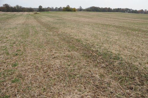 Property photo 25 - 140+/- Acres Offered in 4 Tracts