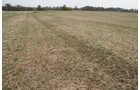 Property photo 25 - 140+/- Acres Offered in 4 Tracts