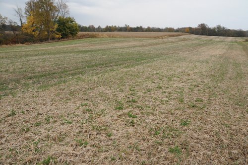 Property photo 5 - 140+/- Acres Offered in 4 Tracts