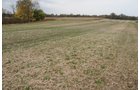 Property photo 5 - 140+/- Acres Offered in 4 Tracts