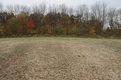 Property photo 26 - 140+/- Acres Offered in 4 Tracts