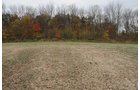 Property photo 26 - 140+/- Acres Offered in 4 Tracts