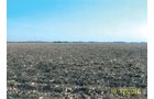 Property photo 2 - Illinois Land Auction