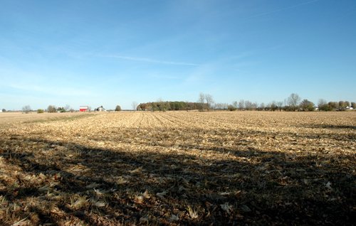 Property photo 8 - 140+/- Acres Offered in 2 Tracts