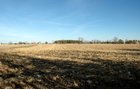 Property photo 8 - 140+/- Acres Offered in 2 Tracts
