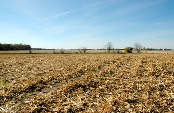 140+/- Acres Offered in 2 Tracts