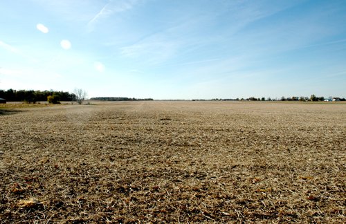 Property photo 5 - 140+/- Acres Offered in 2 Tracts
