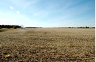 Property photo 5 - 140+/- Acres Offered in 2 Tracts