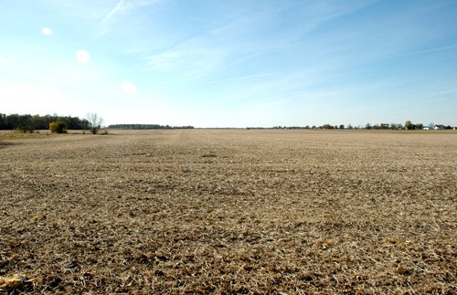 Property photo 2 - 140+/- Acres Offered in 2 Tracts