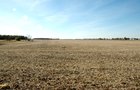 Property photo 2 - 140+/- Acres Offered in 2 Tracts