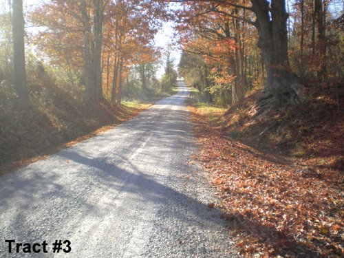 Property photo 5 - 348.8+/- Acres Offered in 4 Tracts