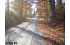 Property photo 5 - 348.8+/- Acres Offered in 4 Tracts