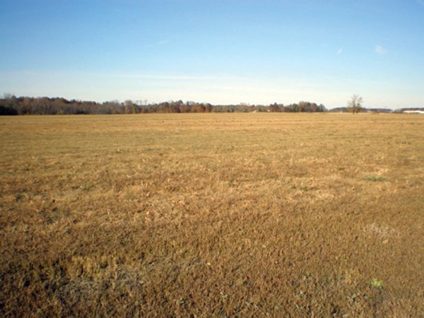 348.8+/- Acres Offered in 4 Tracts