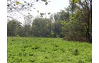 Property photo 1 - 81.464 Acres in 1 Tract