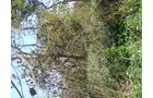 Property photo 17 - 81.464 Acres in 1 Tract