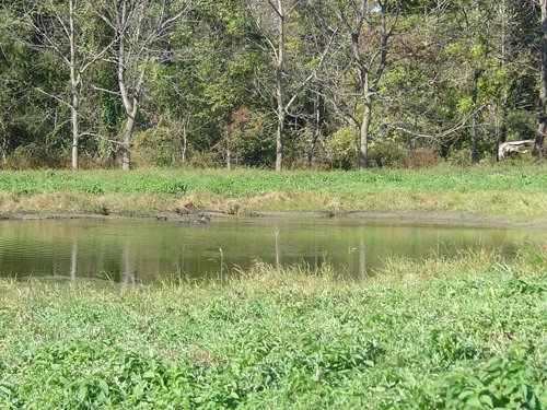 Property photo 21 - 81.464 Acres in 1 Tract