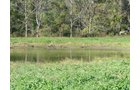 Property photo 21 - 81.464 Acres in 1 Tract